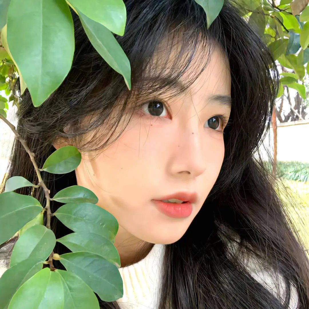吉屋藏娇海报